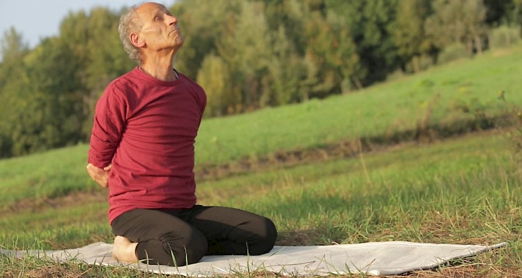 Video - The Art of Longevity