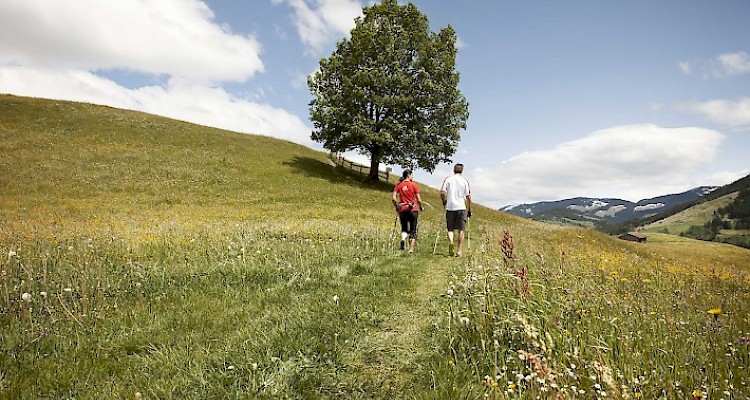 Steps to Avoid or Reverse Diabetes